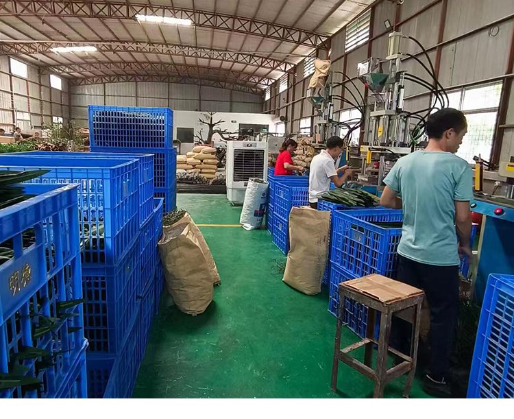 仿真椰子树叶生产车间